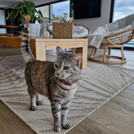 Panzió Casa Dos Avos