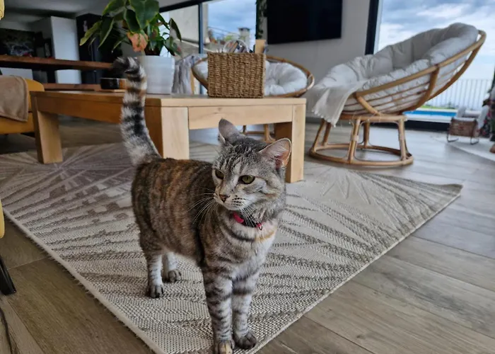 Bed & Breakfast Casa Dos Avos